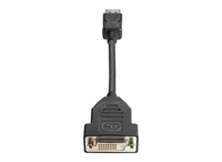 HP DisplayPort / DVI-D DisplayPort DVI-D Black cable interface/gender adapter