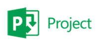 Microsoft Project Professional, 1Y, Level D, Government, Additional Product