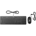 HP Smartbuy USB Bus Slim Kyboard/Mouse/Mspd U.S. - English localization keyboard