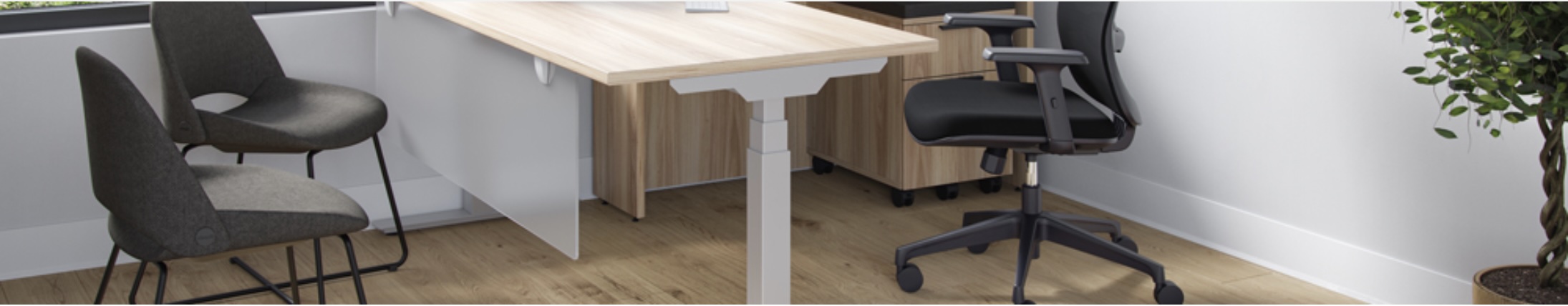 Standing Desks